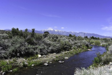 (private lake, pond, creek) Acreage Under Contract in Gardnerville Nevada