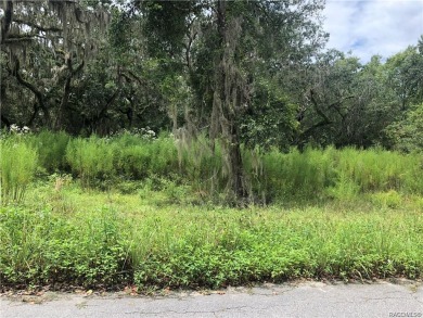 Lake Henderson Lot Sale Pending in Inverness Florida