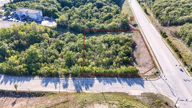 Outstanding investment opportunity! This over 29-acre parcel in - photo 3