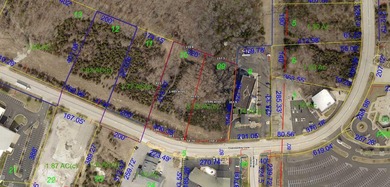 Investment Opportunity Branson 29+/- Acres | 8 Parcels | Prime - photo 2