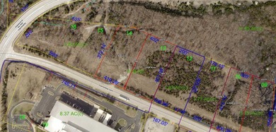 Investment Opportunity Branson 29+/- Acres | 8 Parcels | Prime - photo 9