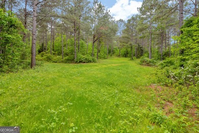 (private lake, pond, creek) Acreage For Sale in Martin Georgia