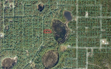 Lake Lot For Sale in Fort Mccoy, Florida
