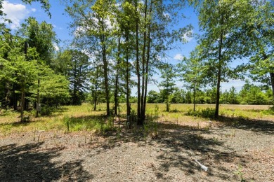 Lake Acreage For Sale in Hemphill, Texas