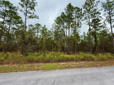 Bonable Lake Lot For Sale in Dunnellon Florida