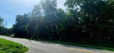 Looking for a future homesite or investment property, or maybe - photo 3