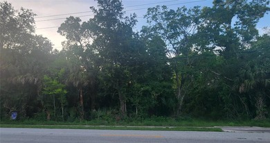 Looking for a future homesite or investment property, or maybe - photo 4