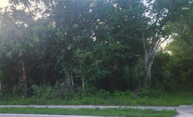 Looking for a future homesite or investment property, or maybe - photo 6