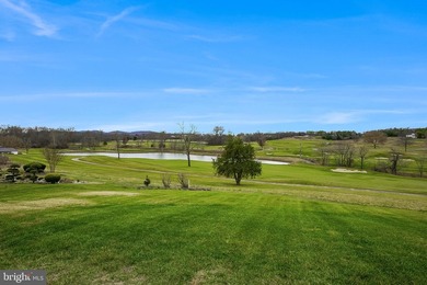 Welcome home to this remarkable estate set behind the gates of - photo 5