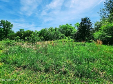 Lake Lot For Sale in Kingston, Tennessee