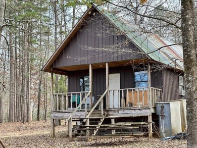 Lake Home For Sale in Hatfield, Arkansas