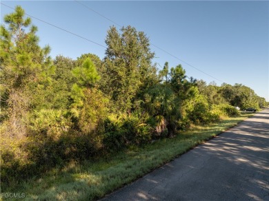 Lehigh Acres Area Lot For Sale in Lehigh Acres Florida