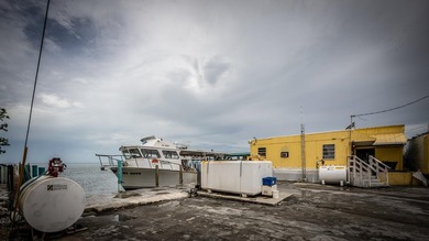 This property encompasses 15 Seaview Ave, 5 Seaview Ave, and a - photo 2