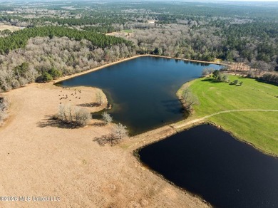 Experience the perfect blend of working ranch and peaceful - photo 44