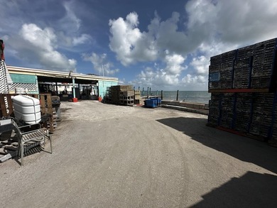 This property encompasses 15 Seaview Ave, 5 Seaview Ave, and a - photo 8