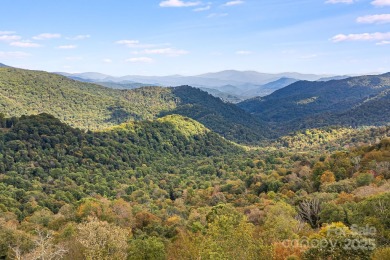 Mars Hill Reservoir Acreage For Sale in Mars Hill North Carolina