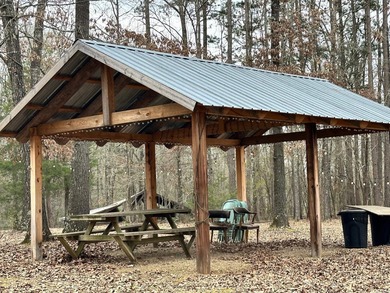 (private lake, pond, creek) Lot For Sale in Hatfield Arkansas