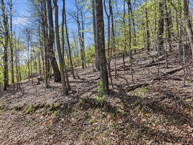 Don't miss this incredible opportunity to own a 0.69-acre - photo 1