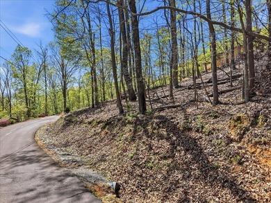 Don't miss this incredible opportunity to own a 0.69-acre - photo 3
