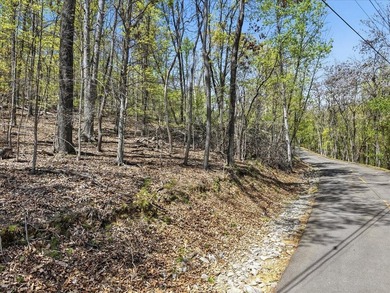 Don't miss this incredible opportunity to own a 0.69-acre - photo 4
