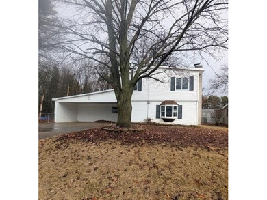 Lake Home For Sale in Jackson, Michigan