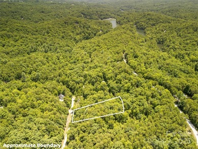 Large 0.8 acre lot in Riverbend at Lake Lure! Build your dream - photo 12
