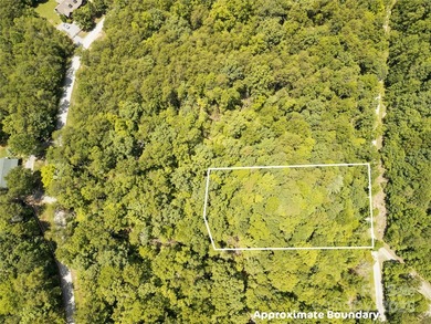 Large 0.8 acre lot in Riverbend at Lake Lure! Build your dream - photo 15