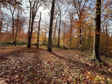 This exceptional property provides the perfect backdrop for your - photo 15