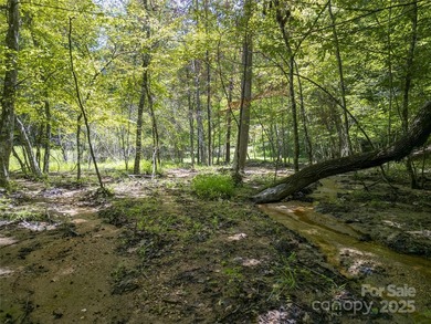 Large 0.8 acre lot in Riverbend at Lake Lure! Build your dream - photo 17