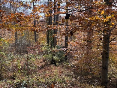 This exceptional property provides the perfect backdrop for your - photo 17