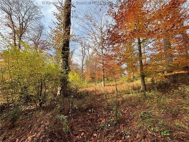 This exceptional property provides the perfect backdrop for your - photo 18