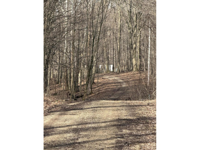 Eagle Lake - Allegan County Acreage For Sale in Gobles Michigan