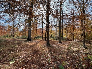 This exceptional property provides the perfect backdrop for your - photo 30