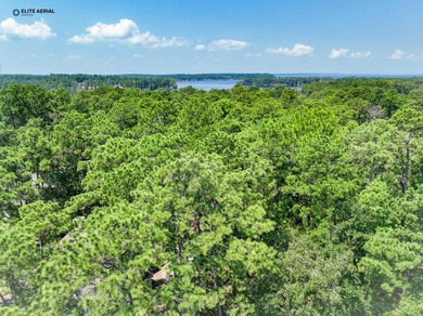 Lake Sam Rayburn  Lot For Sale in Brookeland Texas