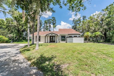 Lake Home For Sale in Land O Lakes, Florida