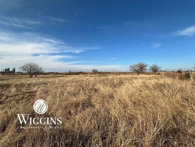 (private lake, pond, creek) Acreage For Sale in Wakita Oklahoma