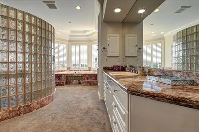 Single-Level View Estate with Rare 46' RV Garage in Del Cerro - photo 13