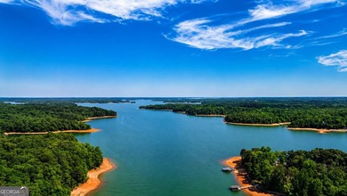 This cute cabin on year-round deep water is the lakefront - photo 19