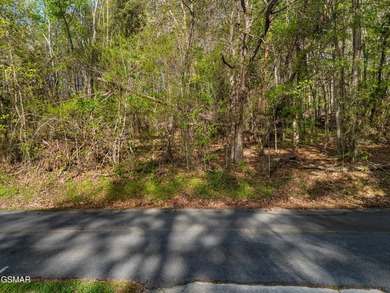 It could be time to enjoy East Tennessee in a lakefront - photo 7