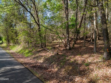 It could be time to enjoy East Tennessee in a lakefront - photo 8