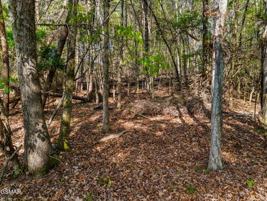 It could be time to enjoy East Tennessee in a lakefront - photo 9
