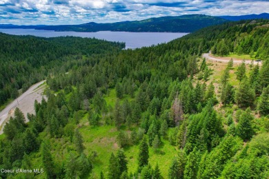 (private lake, pond, creek) Acreage For Sale in Harrison Idaho