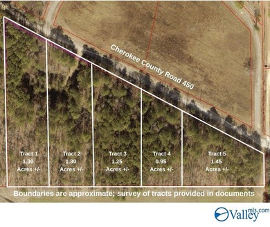Own 1.30 acres of wooded land minutes from Weiss Lake in Centre - photo 1