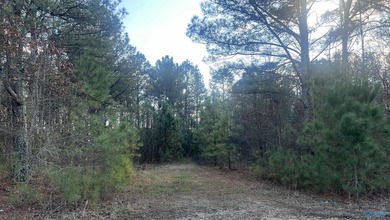 Own 1.30 acres of wooded land minutes from Weiss Lake in Centre - photo 2