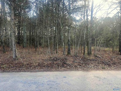 Own 1.30 acres of wooded land minutes from Weiss Lake in Centre - photo 3