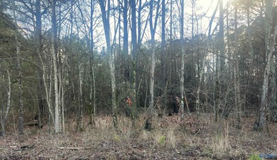 Own 1.30 acres of wooded land minutes from Weiss Lake in Centre - photo 4