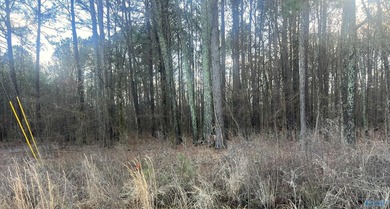 Own 1.30 acres of wooded land minutes from Weiss Lake in Centre - photo 5