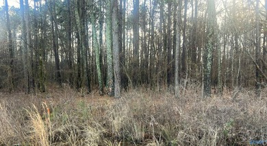 Own 1.30 acres of wooded land minutes from Weiss Lake in Centre - photo 6