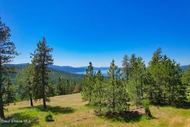 Coeur d Alene Lake Acreage For Sale in Harrison Idaho