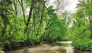 Lake Lot For Sale in Sage, Arkansas